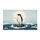 duiyfppz/products/6a2697f296d54db50cf51bd1/gallery/9QwCQGE-8n