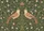 duiyfppz/products/6a2698a776ce48efde04b977/gallery/WstDQs44wo