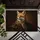 duiyfppz/products/6a2699d4ba3ba39ebc3a929c/gallery/yjFk6d6FCs