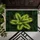 Dense Striped Tropical Foliage - Home Decor Gift Doormat - 6