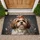 15x25/BuCbGuXkt-