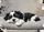 duiyfppz/products/6a269fd5171a806964d4a47b/gallery/RuC83USdnD