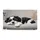duiyfppz/products/6a269fd5171a806964d4a47b/gallery/kTSzBLp1ZP