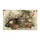 duiyfppz/products/6a26a283ba3ba314e93a9be7/gallery/dX23mBlisF