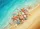 duiyfppz/products/6a26ab8d0b5ba60f1708bca0/gallery/iBhEQ1iZ9k