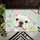 duiyfppz/products/6a26ada30b5ba62ad108c5a5/gallery/kol8OAZqvB