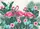 duiyfppz/products/6a26b01676ce48016304f4e1/gallery/qHjs_XwCPv