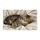duiyfppz/products/6a26b23e78e7a254b49f3379/gallery/00YW7QDmU3