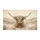 duiyfppz/products/6a26b26fbcdd9e4d97eab2ac/gallery/u_9qGgt_OL