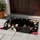 duiyfppz/products/6a26b37a948c6ecad3784657/gallery/lNrdEHBGAL