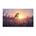 duiyfppz/products/6a26b3a9948c6eb3e778468e/gallery/rFQWP5qqlR