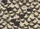 duiyfppz/products/6a26b8640b5ba6520908f100/gallery/zPL25bbrLX