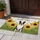duiyfppz/products/6a26bd680b5ba64f5b08f7ab/gallery/-YgBQQBTfF
