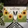 duiyfppz/products/6a26bd680b5ba64f5b08f7ab/gallery/oHGhfzYA6f