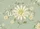 duiyfppz/products/6a26c3ade511b208262ee9c7/gallery/CCrCL-6Z2w