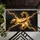 duiyfppz/products/6a26c858e511b20cca2ef273/gallery/2qjLoJ__jn