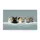 duiyfppz/products/6a26c95a8c73279bb33a4456/gallery/M3qIV8dDp9