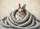duiyfppz/products/6a26ccce171a8033bed4e4cc/gallery/0QKYKZxRww