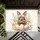 duiyfppz/products/6a26cdc1e511b244a12efb38/gallery/ABCr0zG6sv
