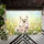 duiyfppz/products/6a26d04c8c732716503a4cf9/gallery/SCNZKhGgJ3