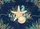 Welcome Script Starfish Scallop Shell Coastal Living Home Decor Gift Doormat - 7