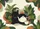 duiyfppz/products/6a26d217171a805debd4eb14/gallery/9wQriUlZW4