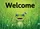 Friendly Green Frog Welcome Sign - Housewarming Gift for Entryway Doormat - 7