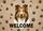 duiyfppz/products/6a26d788a2c8de528151a4e0/gallery/vJAHLqRZDl