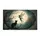 duiyfppz/products/6a26da9adf037993157e6326/gallery/5abtETidk2