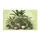 duiyfppz/products/6a26de4da2c8de82f951aca1/gallery/7GoGPYc1b4