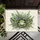duiyfppz/products/6a26df4f171a80b039d4fecc/gallery/wcw9RytQmj