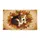 duiyfppz/products/6a26dffdadd31cd987b1ad33/gallery/D7JZpTXPzo