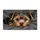 duiyfppz/products/6a26e0d6a2c8def2b151ae6e/gallery/BnU_WjCmVB