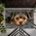 duiyfppz/products/6a26e0d6a2c8def2b151ae6e/gallery/y8ZpP5GeJN