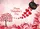 duiyfppz/products/6a26e4310b5ba689df092b9a/gallery/kYSdj0mGlp