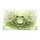 duiyfppz/products/6a26e6a3a2c8de5ba051d96b/gallery/nJPbsBSHSx