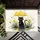duiyfppz/products/6a26e73adf03797ffa7e838b/gallery/9l1NWMnsNZ