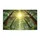 duiyfppz/products/6a26e799add31c9e2db1dd4f/gallery/NT3-9mu8pi
