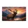 duiyfppz/products/6a26e821171a808a6dd5162e/gallery/0wbQXukTna