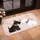 duiyfppz/products/6a26e860ba3ba3bf933b45ba/gallery/l4hJOACH-J