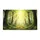 duiyfppz/products/6a26e88f171a802cb6d51d9b/gallery/Xz9oSPsgmx