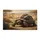 duiyfppz/products/6a26e8a52bb51e0fcde4164e/gallery/vHRsZqHG6f