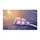 duiyfppz/products/6a26ebd22bb51e06abe44328/gallery/UFKez3Lo5w