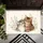 duiyfppz/products/6a26ecfbe511b23ef32f47be/gallery/8hVErcc_X4
