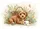 duiyfppz/products/6a26f22a8c732778303abbd4/gallery/-CYdP5gHDm