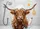duiyfppz/products/6a26f4000ea7b458667e6e79/gallery/jV4zyTprPy