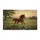 duiyfppz/products/6a26f5058c732745883abe84/gallery/uAbecDCrXA