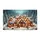 duiyfppz/products/6a26f905df037963387eb9c3/gallery/ECkbiTX2k_