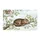 duiyfppz/products/6a270011ba3ba31c5a3b9ade/gallery/2ojYXAL5t7