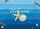 duiyfppz/products/6a270069df037971fc7ebfdb/gallery/W3aH7Wvbti